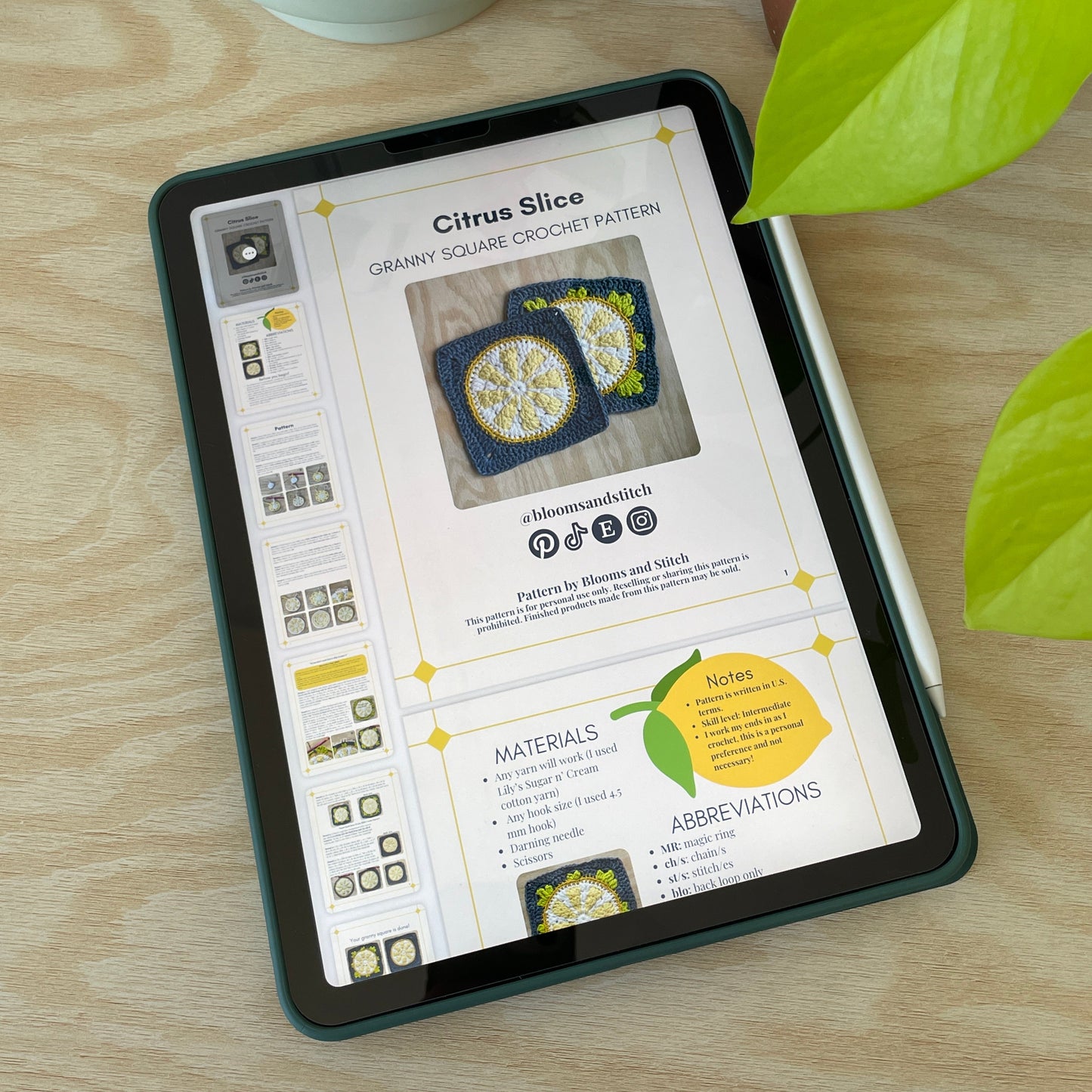 Citrus Slice granny square pattern